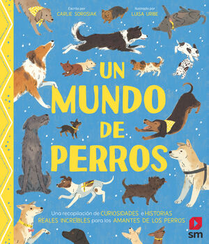 MUNDO DE PERROS, UN