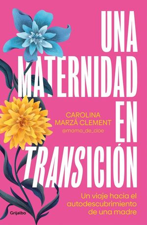 MATERNIDAD EN TRANSICIÓN, UNA