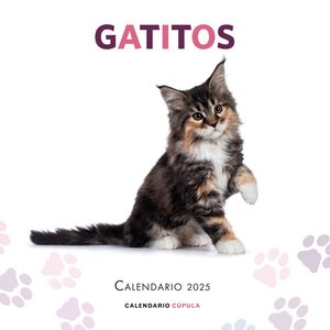 CALENDARIO GATITOS 2025