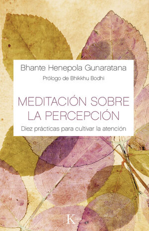 MEDITACIÓN SOBRE LA PERCEPCIÓN